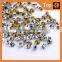 Wholesale Point Back foil glass crystal chaton