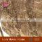 New Sytle Low Cost Marble Tiles Marron Emperador Dark Marble