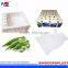 Plastic Vegetables Packing Box