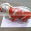 Anatomy Cow model Non-toxic PVC material high quality