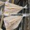 dried queenfish