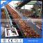 NN EP Fabric Endless Chemical Resistant Conveyor Belt, Acid and Alkaline Resistant Conveyor Belt for Wood Chip