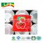 2200G China Factory Hot Sell Nature Canned Tomato Paste