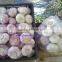 Garlic ( white - Red ) new crops