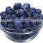 Iqf Blueberry frozen blueberry (Grade A) local in "Country of blueberry"