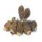 Extra grade dried morel mushrooms price