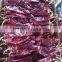 New Crop Sweet Paprika Pods