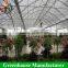 High Quality Cheap Toughened Glass Greenhouses For Sale