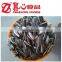 Cheap Price of Shelled sunflower seeds in Bulk