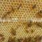 Factory low price automatic bee hive with 7 pieces honey outflow frames for beekeeping