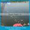 Impermeable HDPE Geomembrane Pond Liner for Fish Farming