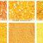 Maize Peeler And Grinder Corn Flour Making Machinery maize Grits dehuller and crusher for maize processing machinery