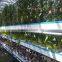 Agricultural Hydroponic NFT Planting Growing System