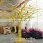 Q0910004 white artificial dry tree for decoration