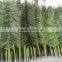 SJLJ013781 Guangzhou factory direct selling artificial foliage leaves high simulation artificial palm tree leaves