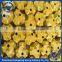 Thread drill bit with the best price portable rock drill bit