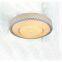 Wrought Iron Dome Light,Aisle Contemporary Contracted Style White Ceiling 1 Light,Outside Iron acrylic