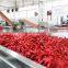 Industrial citrus fruit sorting vegetable grading  washing machine from China factory