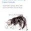HQP-WJ104 HongQiang Cat Toy USB Cat Laser Toy Pet Supplies New LED Flash Rolling ball Cat toy glow ball