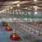 Pan Feeding System of Poultry Farm Equipment