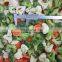 Sinocharm BRC A Approved Frozen Vegetable Frozen Mix Vegetable Carrot Corn Green Peas For Easy Cook