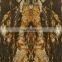 Natural Gold Veins Black Taurus Granite Slab Price