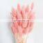 Wholesales Hot Sale Preserved Natural Flowers Bouquet Bunny Tail Dried Decorative Pink Colorful Lagurus Home Wedding Decoration
