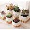 Flower Pots Planters Pottery  Pot Tray White Square Ceramic Succulent Cheapflowerpots Taizhou Succluent Potes Ceramic Mini Pots