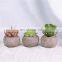 Genuine Wholesale Decorative Plant Bonsai Ornament Mini Set Plants Potted Artificial Succulent Plants With Pot