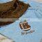 Baby Boy Blanket Personalized Minky Blanket