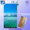 MIPI Interface 720x1280 dots 5.5" tft lcd color display Mobile Phone TFT screen, tft matrix from china
