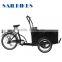 electric cargo bicycle for kids