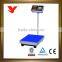 medical electronic balance