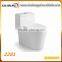 China Toilet Bowl Ceramic Washdown One Piece Toilet Bathroom Accessories