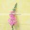 Pure and mild flavor hot-sale flower antirrhinum majus