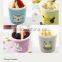 Mini Ceramic Mug Ceramic Ice Cream Cup