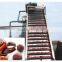 MXJ Hair Brush Fruit Cleaner for Jam Production Line