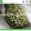 IQF frozen broad beans