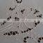 Hand embroidered white cotton table cloth No.8