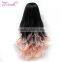 hot selling beautiful natural colorful cosplay fashion wig human hair