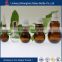 Import glass material 10ml essential oil use bottle