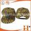 2015 new design colorful cap and hat fashional caps and hats