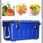 SCC removable fruits and vegetables cold storage with different size,used cold storage,potato cold storage
