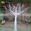 interior decoration artificial white dry tree branches coral wholesale                        
                                                Quality Choice