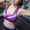 High Quality Latest Design Bra/ Gym Trainning Yoga Sports Bra/ Girl Sports Clothes Sets