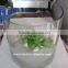 wholesale clear plexiglass cube