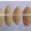 Dried Garlic Granule