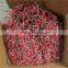 Steel Concrete Shoot Drive Pin Nail with Plastic buffer
