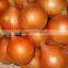 New Red Onion Yellow Onion Wholesale Price