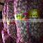 Fresh Garlic to Africa